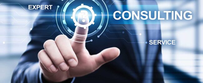 expert consulting
